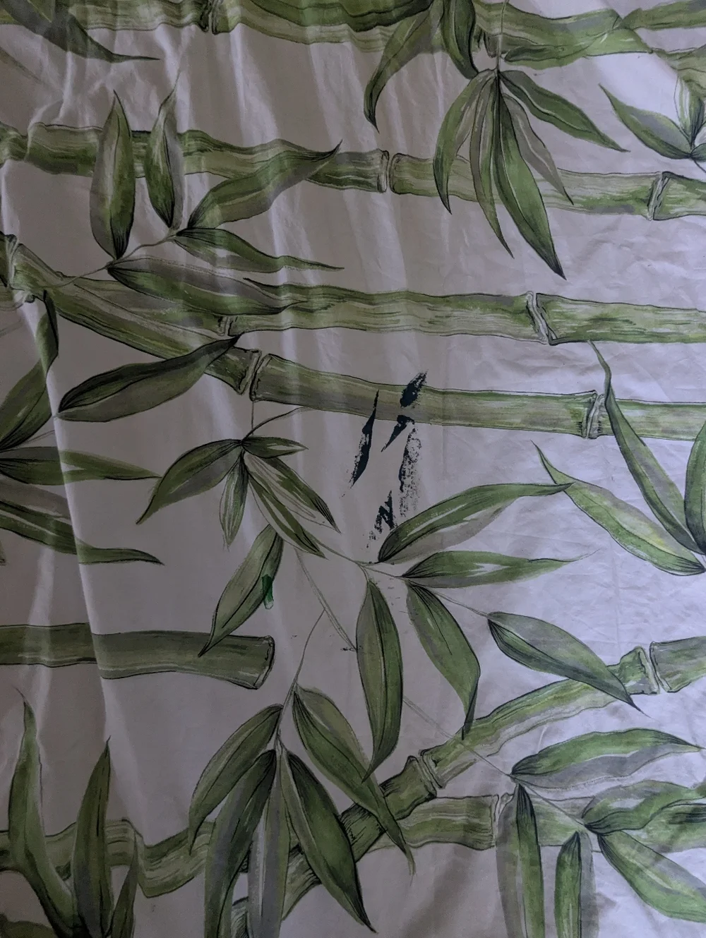 Pottery Barn White Green Bamboo Botanical Duvet Cover Full Queen Organic Cotton